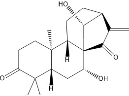 藍萼甲素