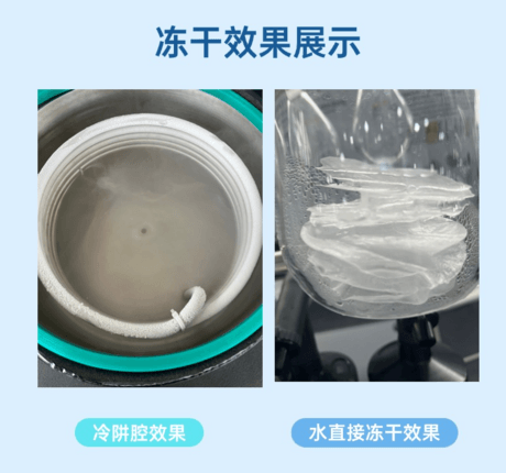 24T真空冷冻干燥机