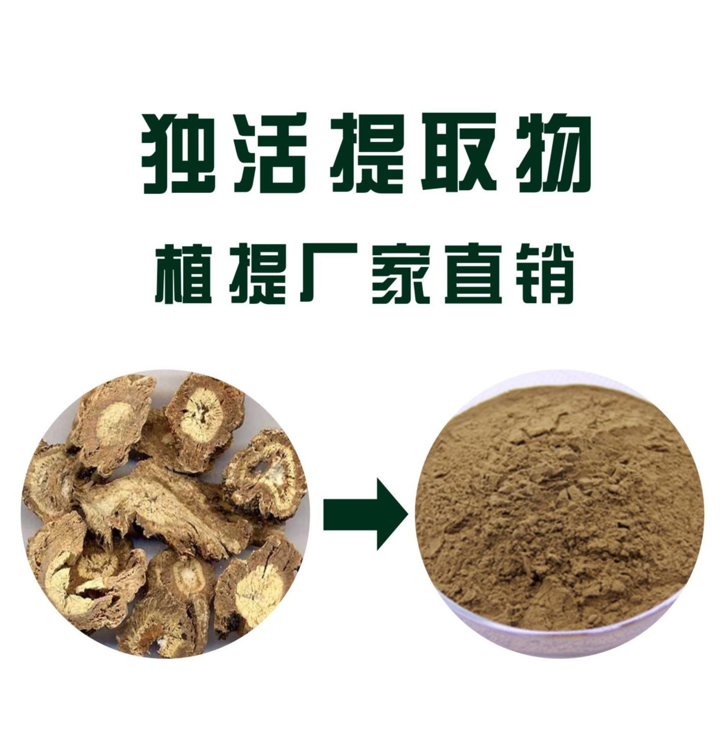 獨(dú)活提取物