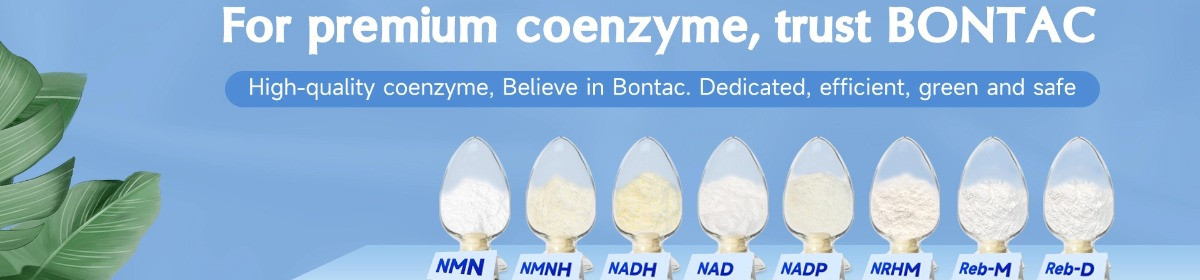 Bontac Bio-Engineering (Shenzhen) Co., Ltd.