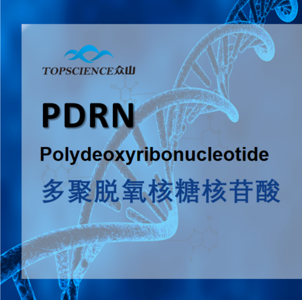 PDRN/PN