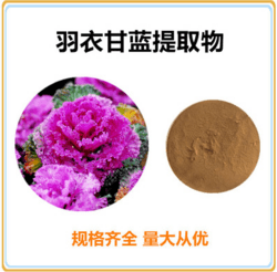 羽衣甘藍(lán)提取物