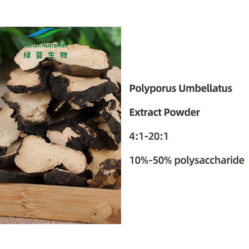 Polyporus Umbellatus Extract 4:1-20:1,10%-50% Polyporus Polysaccharide