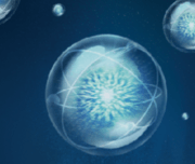 Bloomecto™ Ectoine (Pharmaceutical Grade)