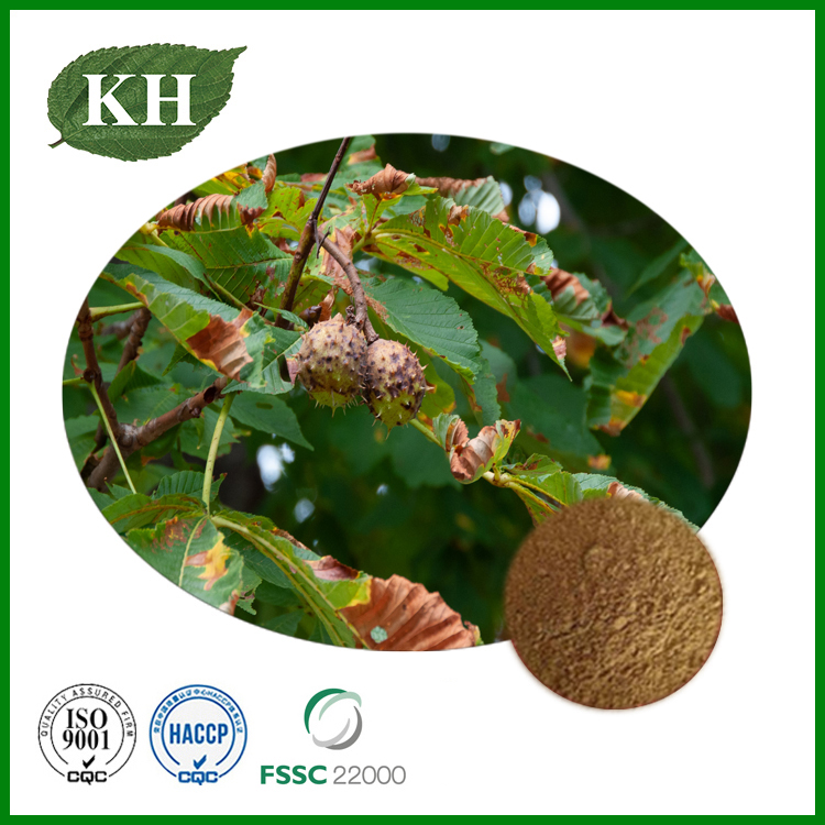 buy high quality Horse Chestnut Extract,Horse Chestnut Extract for sale ...