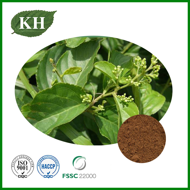 Thunder God Vine Extract