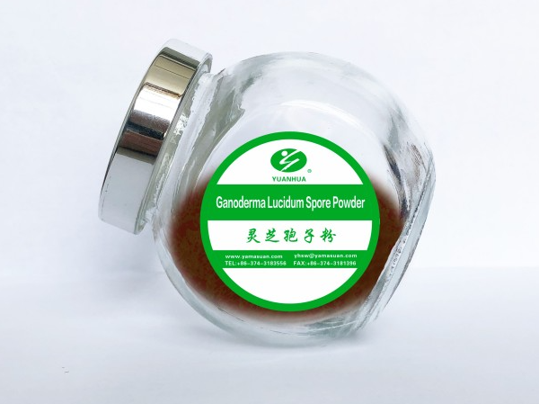 ganoderma spore powder