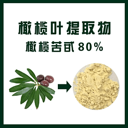 橄榄叶提取物