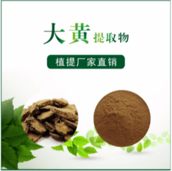 大黄提取物