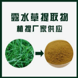 露水草提取物
