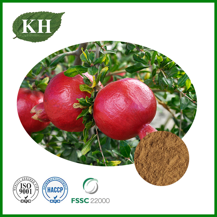 Pomegranate Peel Extract