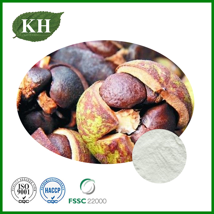 Camellia Oleifera Seed Extract