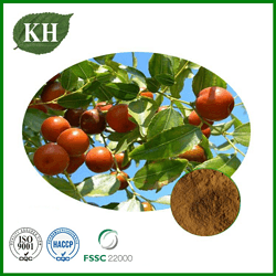 Jujube Seed Extract