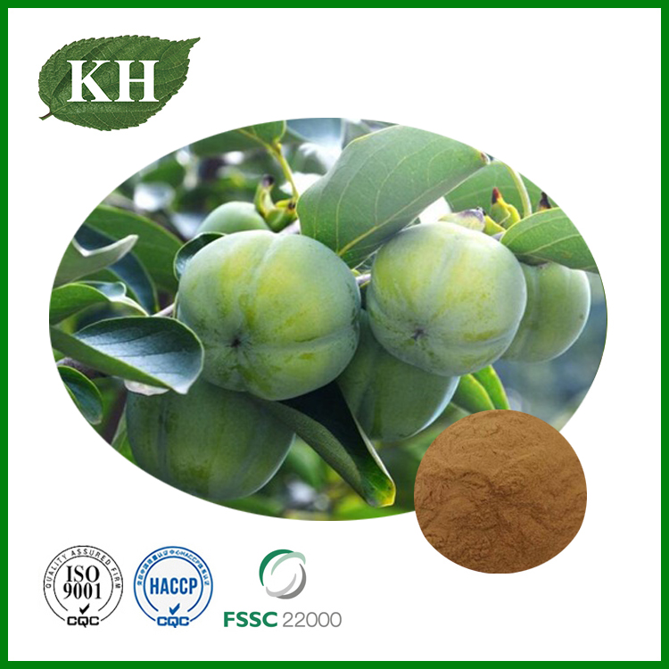 Green Persimmon Fruit Extract