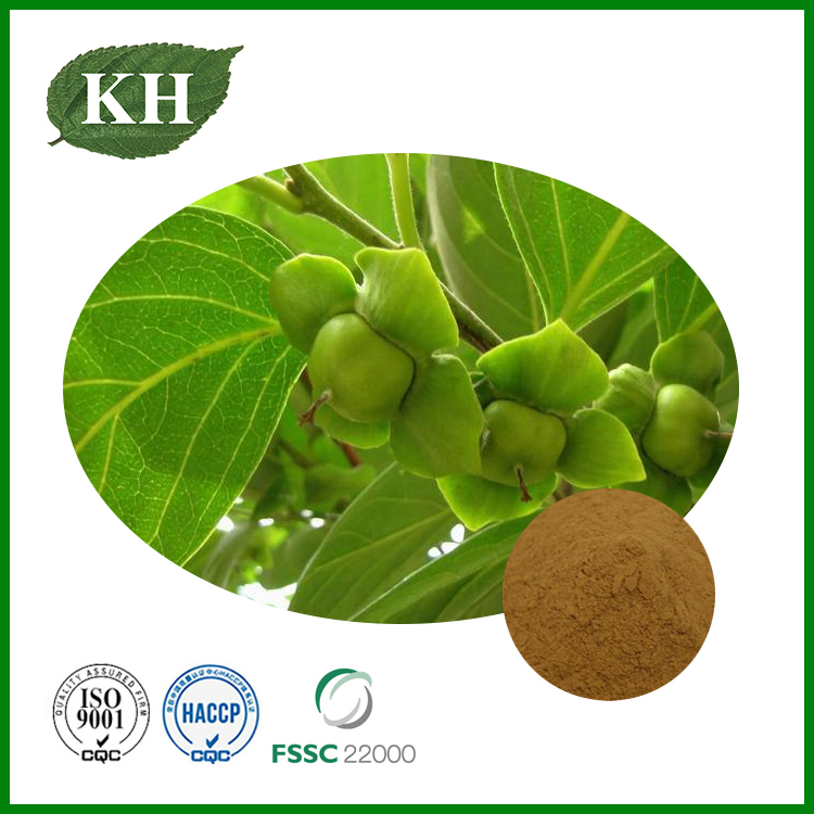 Persimmon Leaf Extract