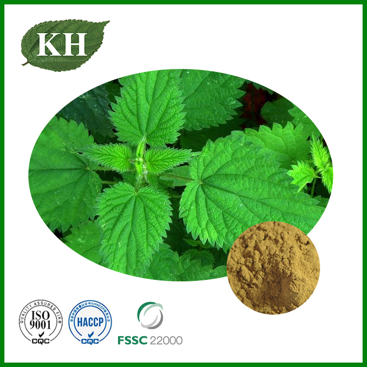 Nettle Extract