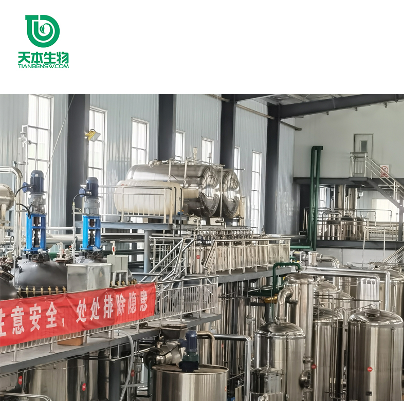 Xi 'an TianBen SC Factory South Africa Drunken Eggplant Extract Drunken Eggplant Lactone 5% USP Standard South Africa Drunken Eggplant Powder
