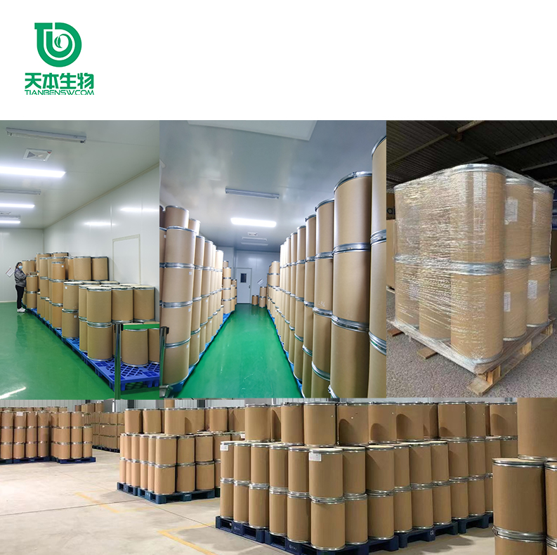 Xi 'an TianBen SC Factory South Africa Drunken Eggplant Extract Drunken Eggplant Lactone 5% USP Standard South Africa Drunken Eggplant Powder