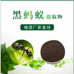 黑蚂蚁提取物