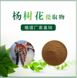 楊樹花提取物