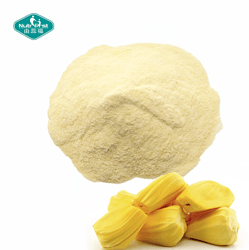 菠萝蜜冻干粉