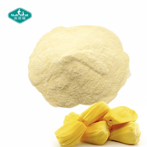 jackfruit freeze-dried powder