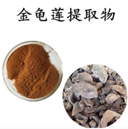 金龟莲提取物