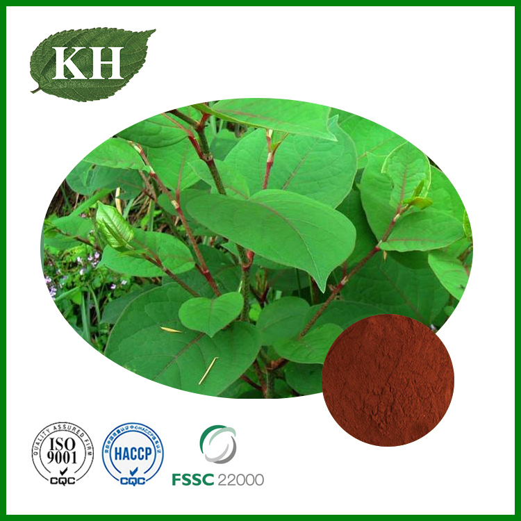 Yohimbe Bark Extract