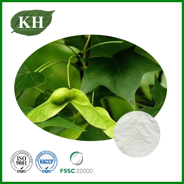 Acer Truncatum Extract