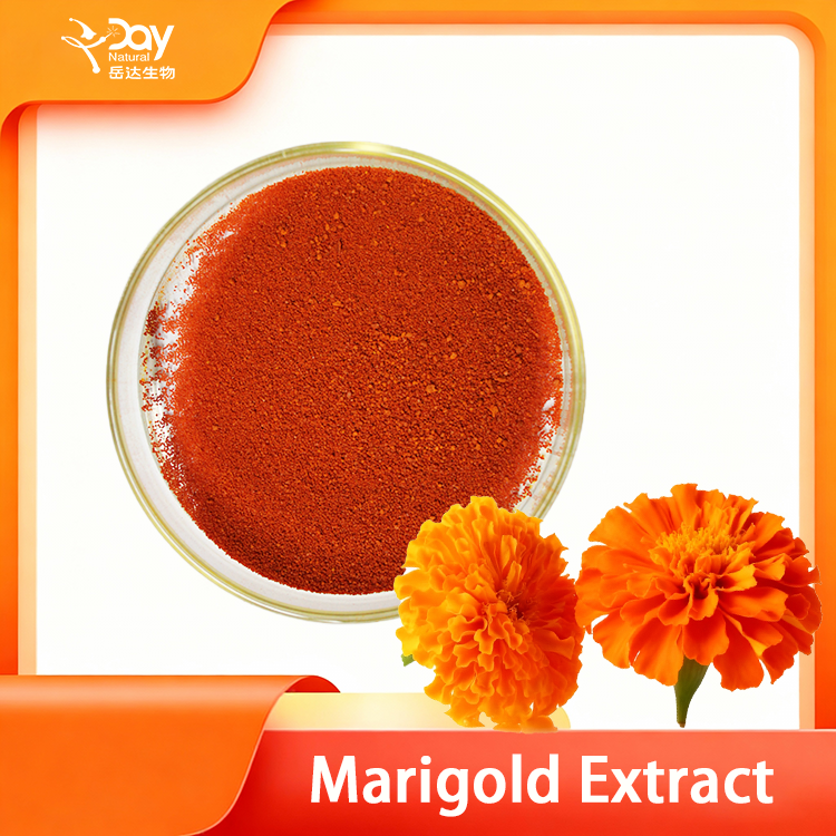 Marigold Extract