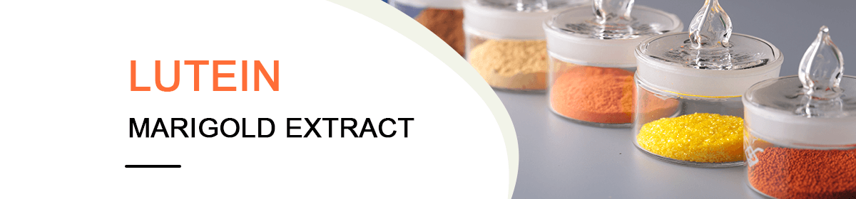 SHAAXI DAY NATURAL INC.