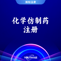 化学仿制药注册