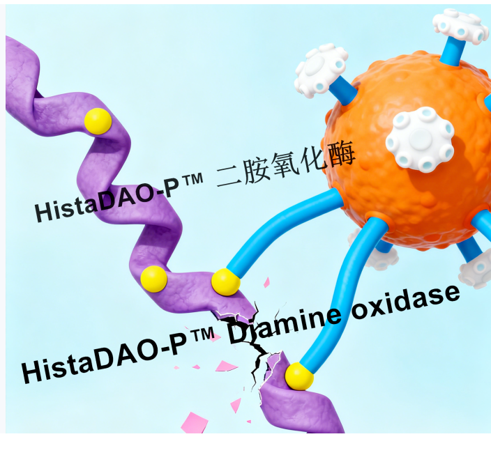 HistaDAO-P™ Diamine oxidase from Porcine Kidney