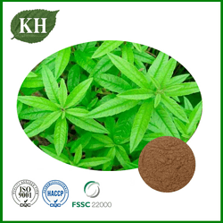Lemon Verbena Extract