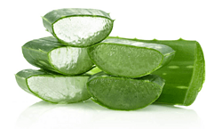 芦荟提取物 Aloe Extract