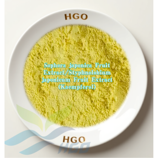 Sophora japonica Fruit (Styphnolobium japonicum Fruit) Extract (Kaempferol)
