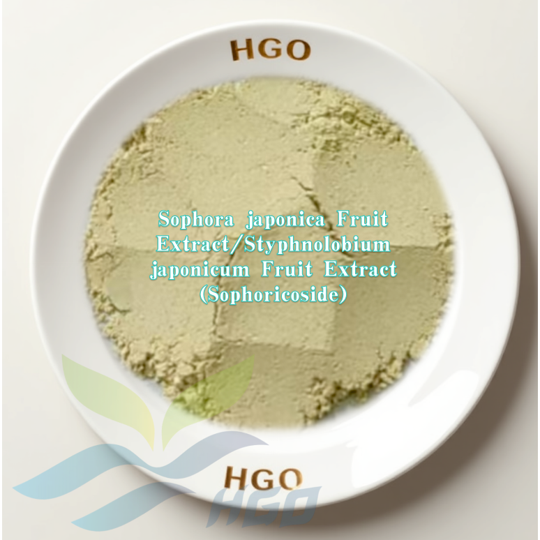 Sophora japonica Fruit (Styphnolobium japonicum Fruit) Extract (Sophoricoside)
