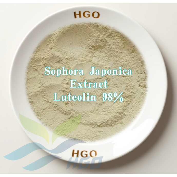 Sophora Japonica Extract (Luteolin)