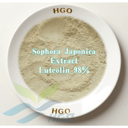 Sophora Japonica Extract (Luteolin)