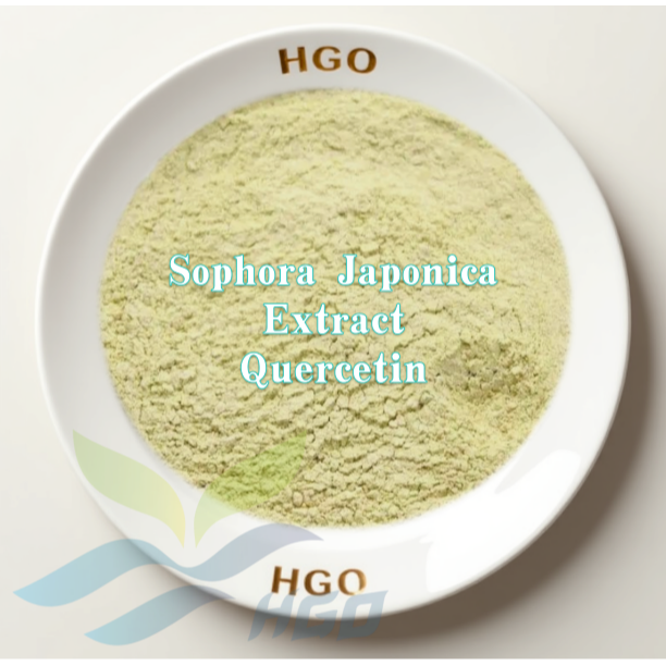 Sophora Japonica Extract (Quercetin)