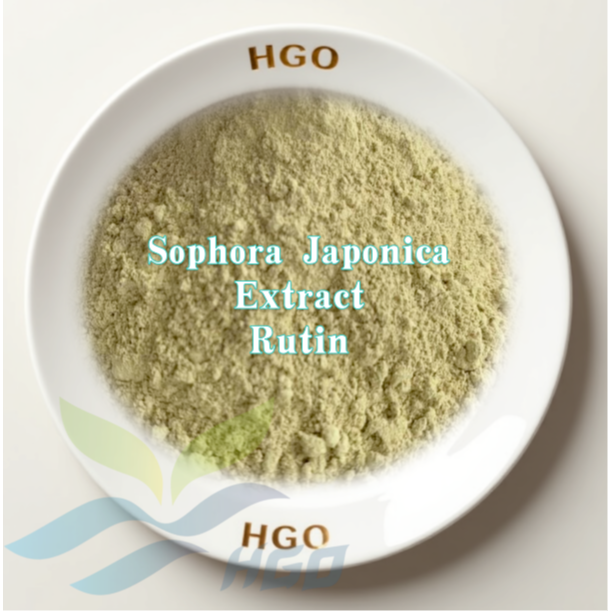 Sophora Japonica Extract (Rutin)