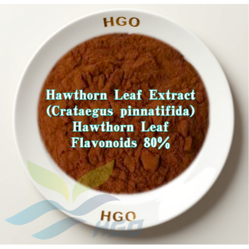 Hawthorn Leaf (Crataegus pinnatifida) Extract (Hawthorn Leaf Flavonoids)
