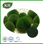 Chlorella Extract