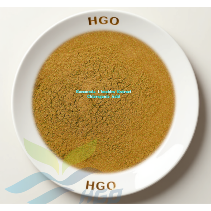 Eucommia Ulmoides Extract (Chlorogenic Acid)