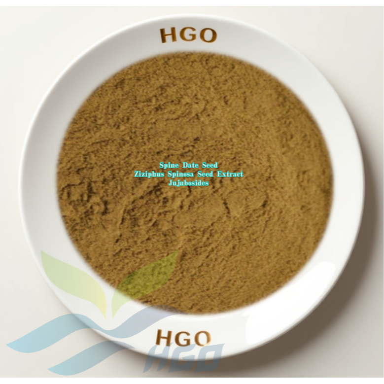Spine Date Seed/Ziziphus Spinosa Seed Extract (Jujubosides)