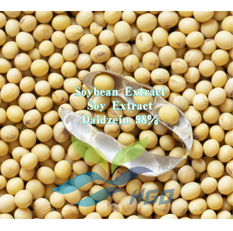 Soybean Extract/ Soy Extract (Daidzein)