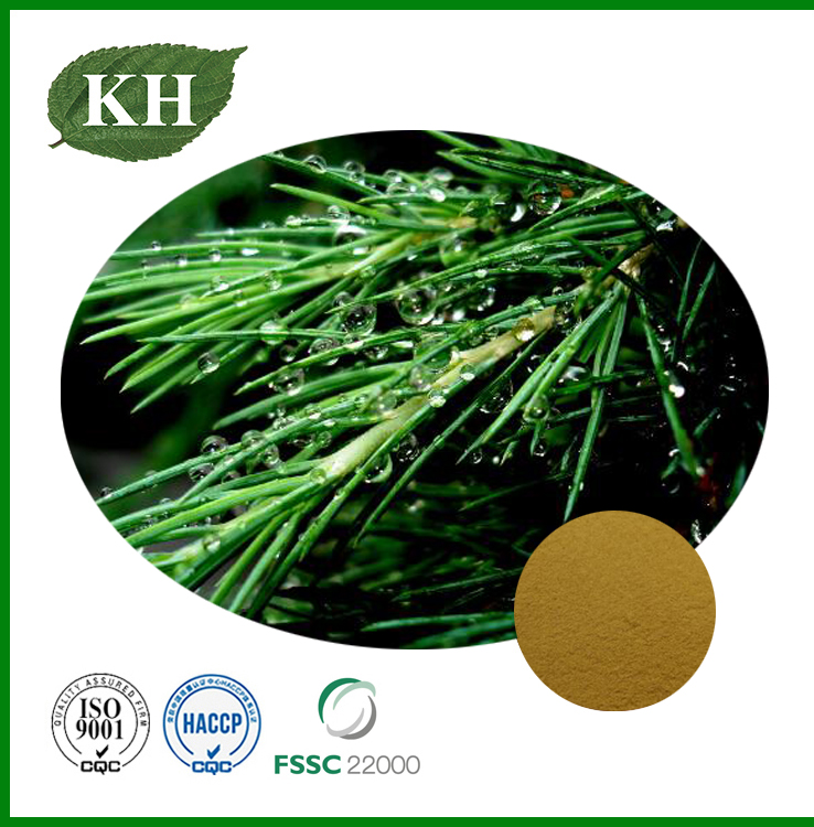 Pine Needle Extract
