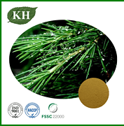 Pine Needle Extract