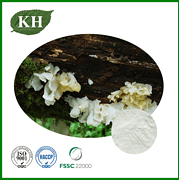 Tremella Fuciformis Extract