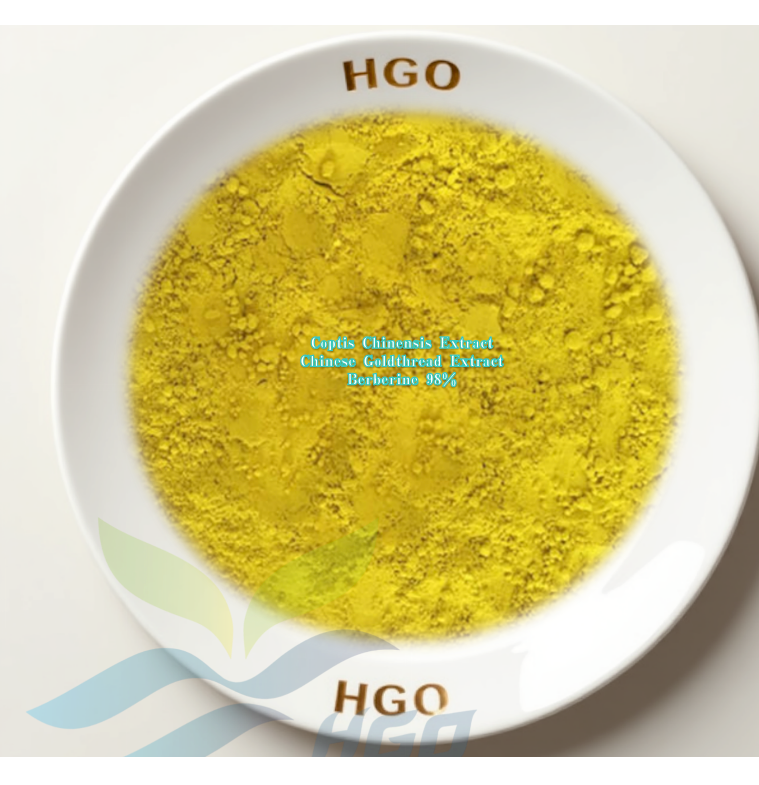 Coptis Chinensis Extract/ Chinese Goldthread Extract (Berberine)
